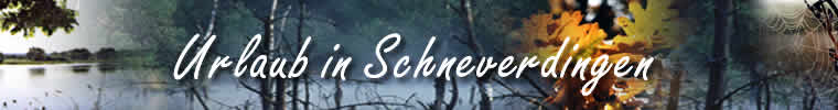Urlaub in Schneverdingen in der L&uuml;neburger Heide.