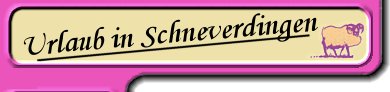 Urlaub in Schneverdingen in der Lüneburger Heide