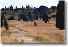 Urlaub in Schneverdingen in der Lüneburger Heide.