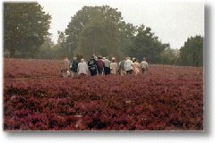 Urlaub in Schneverdingen in der L&uuml;neburger Heide.