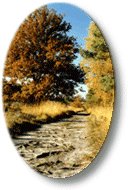 Urlaub in Schneverdingen in der L&uuml;neburger Heide.