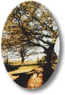 Urlaub in Schneverdingen in der L&uuml;neburger Heide.