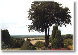 Urlaub in Schneverdingen in der Lüneburger Heide.