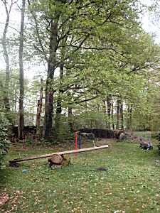 Forsthaus Scharrl